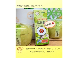 【非進学校からの挑戦】